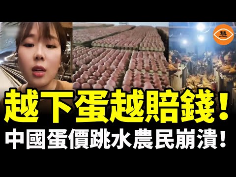 The more eggs you sell, the more you lose? Chinese farmers are being driven to desperation by gov...