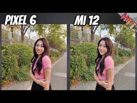 Xiaomi 12 vs Pixel 6 Camera Comparison