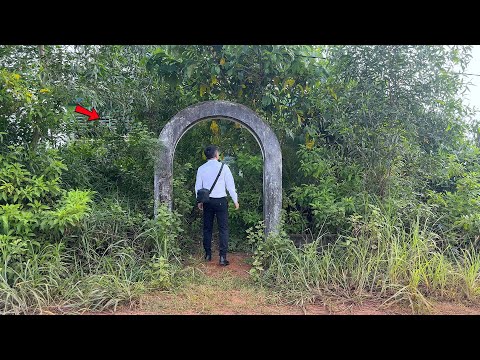 CEO leaves the city to return to the countryside, buys old house to clean up, surprises everyone