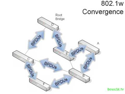 16. Rapid Spanning Tree Protocol 802 1W