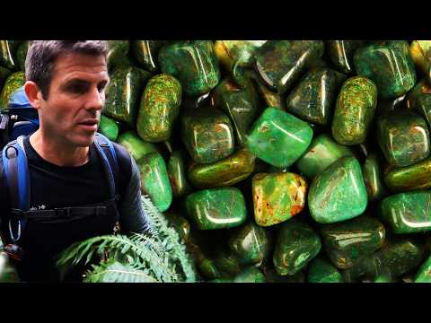 A remote JADE DEPOSIT hidden amongst the HUON PINES!!