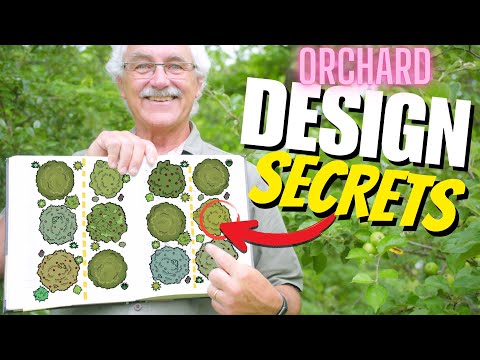 Ultimate Guide to Designing YOUR Permaculture Orchard