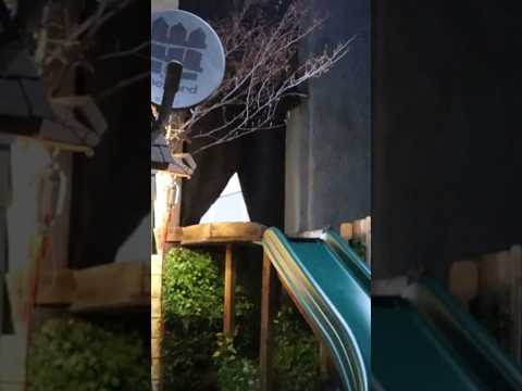 The Yard Set Revealed