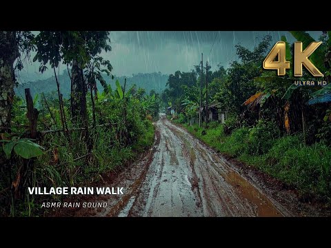 Rhythm of the Rain: Muddy Footsteps & Rubber Leaves ASMR:  An ASMR Rain Walk for Deep Sleep