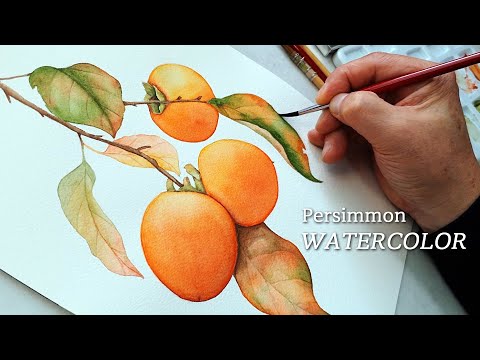 Painting PersimmonㅣWatercolor Painting ㅣRelaxing Painting VideosㅣRelaxing Art Videos
