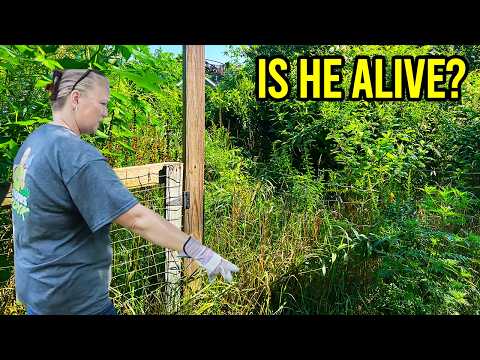 This Backyard is HIDING MORE than just weeds, Didn't EXPECT THIS..