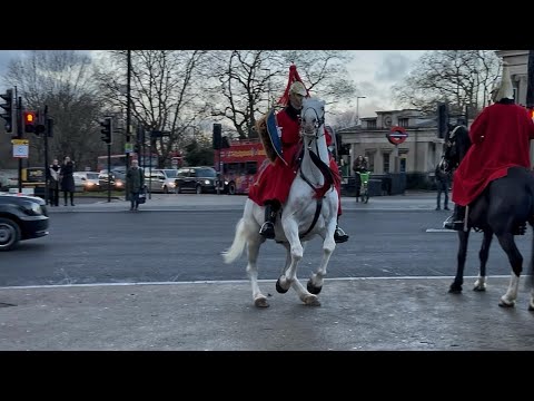 Driver HONKS Horn – King’s Horse FLIPS OUT!