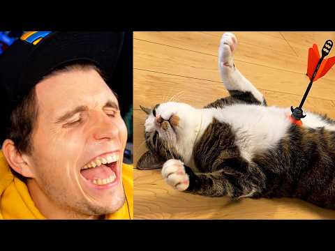 Paluten REAGIERT auf Überdramatische Tiere, die dich zum Lächeln bringen werden