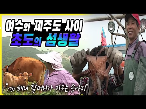 여수와 제주도 사이 초도의 섬생활 /나의 살던 고향은 여수 초도 / 해녀들이 운영하는 먹거리 타운 / 여수 365개 섬이야기 초도 /해녀할머니가 키우는 소  [그곳,그사람]