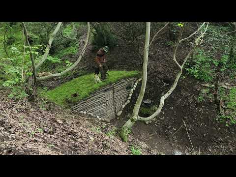 Ditching City Life for 4 Huts and Dogs Was the BEST Decision EVER!