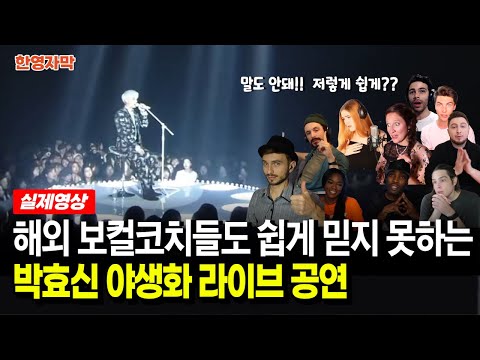[해외반응] 박효신 야생화 라이브 | 놀라운 보컬기법을 본 해외 뮤지션 반응