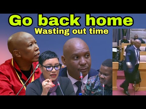 MPs chase Cedrick Nkabinde out for "Lying" on his testimony.