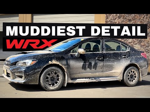 Deep Cleaning The Muddiest WRX EVER! | Satisfying DISASTER Detail Transformation! (ASMR)