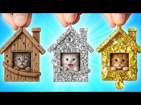 I Saved Homeless Pets | Funny Moments by Multi DO Smile