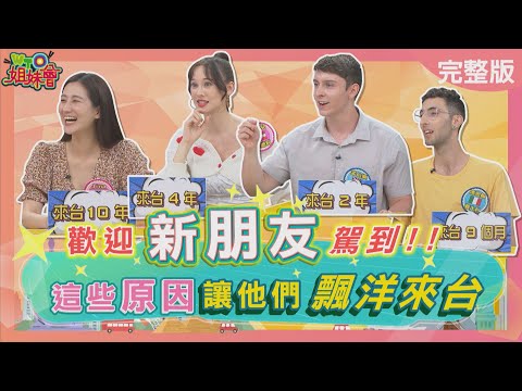外國人的真實心聲... 這些原因讓他們飄洋來台? !  2024-07-02【WTO姐妹會】凱蒂  Haru   歐亞力  孟伯樂  甦秘　馮思翰  白彌兒  小車  Jina