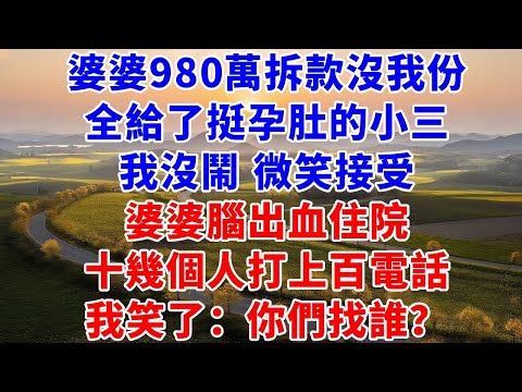 婆婆980萬拆款款沒我份，全給了挺孕肚的小三，我沒鬧 微笑接受，婆婆腦出血住院，十幾個人給我打上百電話，我笑了：你們找誰？#養老#退休#慧心家務#朝夕書卷#爽文#婆媳#故事