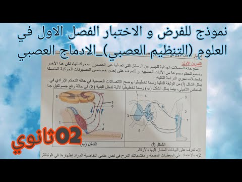 نموذج هام جدا للفرض و الاختبار الفصل الاول في العلوم الطبيعية للسنة 02ثانوي (التنظيم العصبي)