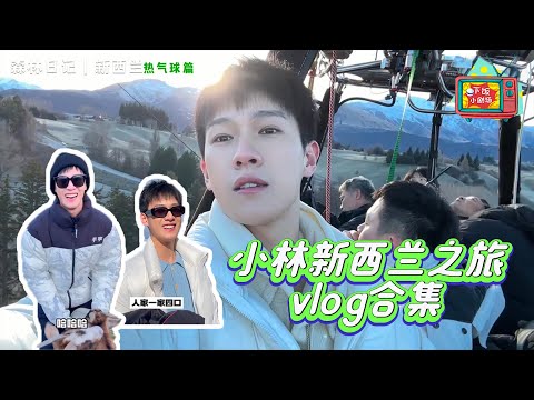Although it was a bit dramatic, Li Yunrui  had a happy trip to New Zealand 💕【李昀锐|vlog】