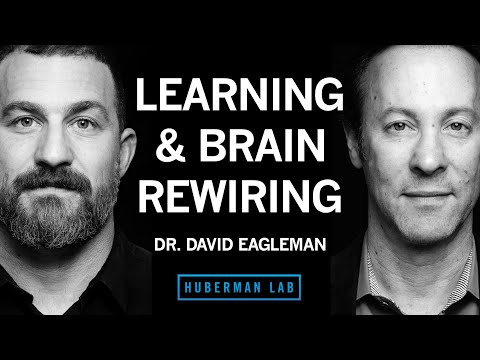 Science & Tools of Learning & Memory | Dr. David Eagleman