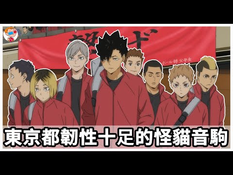 【排球少年】團結一致韌性十足的貓群音駒｜校名由來｜姓名參考｜橫幅｜結局發展