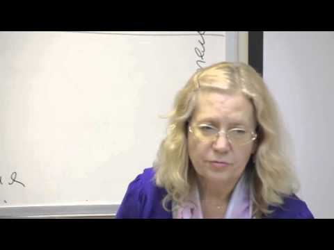 Русский язык. Виды приставок. О-Ё после шипящих и Ц. Суффиксы причастий