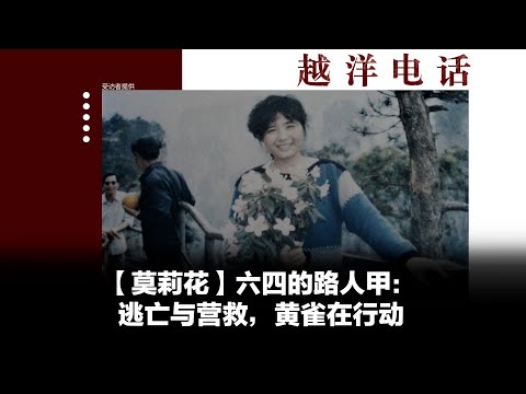 越洋电话：“抗争者” -「莫莉花」六四的路人甲（下）