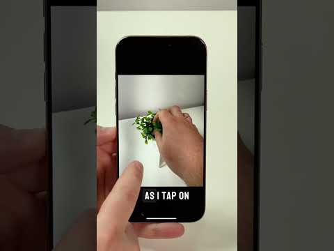 Live Wallpaper on iPhone 🤩🤩