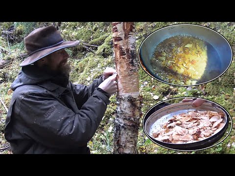 Survive To The End In The Wild And Win $500,000! To Stave Off Hunger, He Made A Feast From Tree Bark