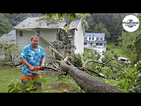 Idiots With Chainsaws: Tree Cutting Fails & Roof Smashes #7