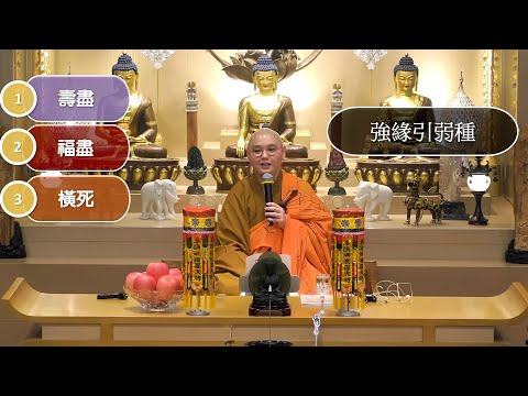 什麼是九橫死？修藥師法門為什麼能夠避免九橫死呢？：法忍法師開示【有字幕】