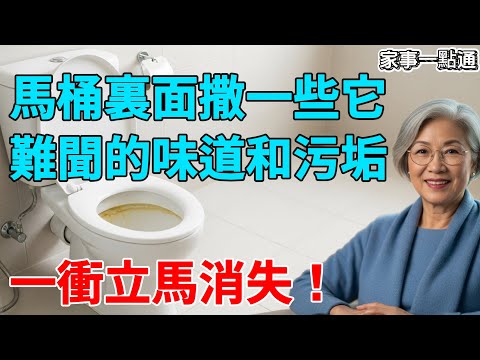 廁所反味？地漏發臭？王姐教你終極除臭法，只用小蘇打和白醋，徹底斷根！