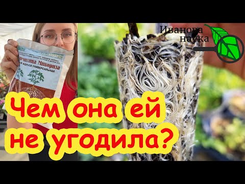 NO ONE ELSE WILL TELL YOU THIS: The whole truth about mycorrhiza. Why are Semyon Altai lying abou...