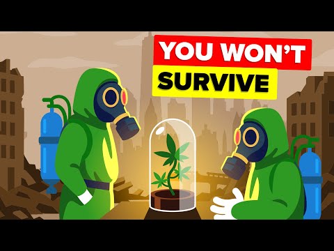 What If Humanity Had to START OVER