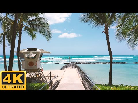 🌊Beautiful Beach  Music (4K UHD)🎵 Piano Music 🎸 Guitar Music & Relaxing Soothing Music