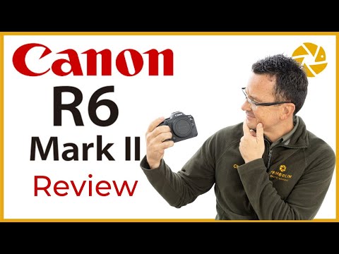 Canon R6 Mark ii For Wildlife Photography