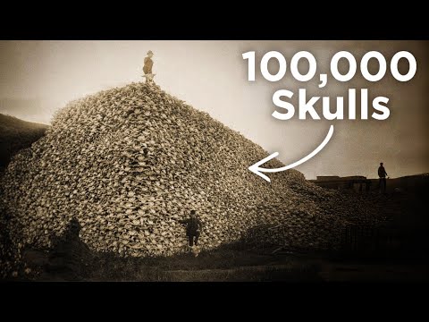 How the Largest Animal Massacre in History Changed America Forever