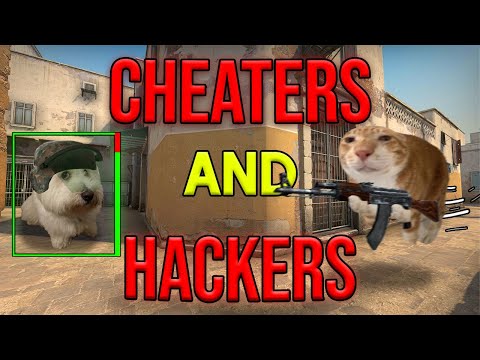 Counter-Strike's Cheating Phenomenon