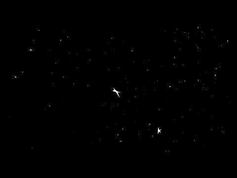 Origami Birds Flying Black Background 4K (No Loops)