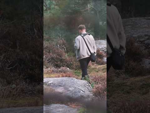 Umziehen nach Schweden 🇸🇪