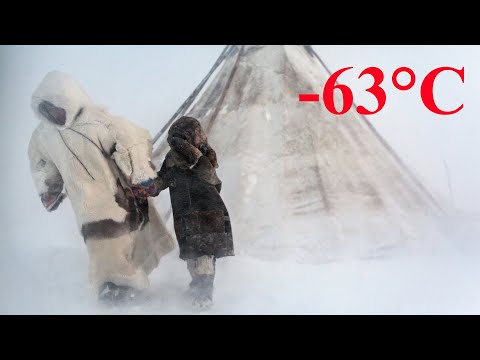 Survival in the Russian Far North in the harsh cold of the tundra of nomadic reindeer herders