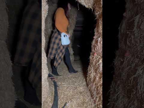 It's So Easy To GET LOST Inside A HAYMAZE! #shorts