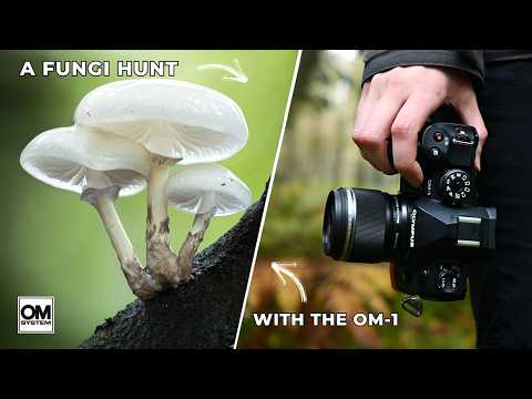 Embracing Speed and Stillness in My Photography with the OM-1