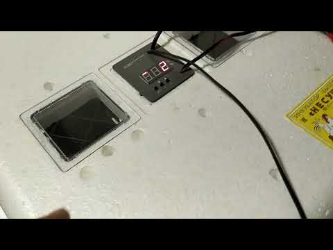 настройка инкубатора Несушка