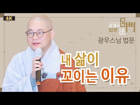 내 삶이 꼬이는 이유 #광우스님 #일요법회 #법문 #조계사
