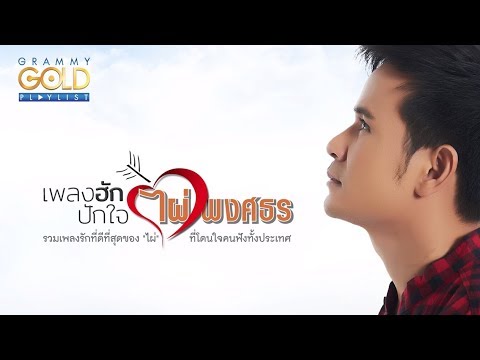 รวมเพลง : เพลงฮักปักใจไผ่ พงศธร [ถิ่มอ้ายไว้ตรงนี้ล่ะ, ต้นทางคือฮักปลายทางคือเฮา, อาลัยบัวเขียว ฯลฯ]