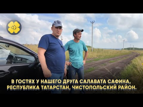 В гостях у нашего друга Салавата Сафина, Республика Татарстан, Чистопольский район.