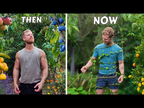 I abandoned my food forest… Here’s what happened