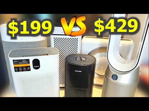 Budget vs Expensive - Best Air Purifier 2024