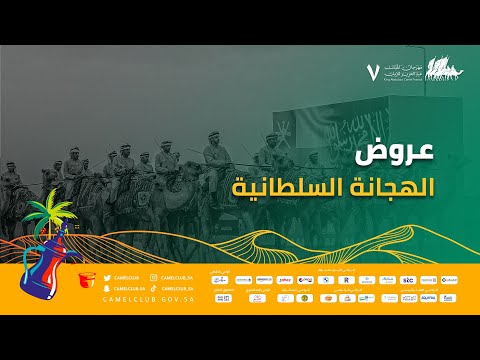 📹 | عروض فرقة الهجانة السلطانية 🎺🥁 #مهرجان_الملك_عبدالعزيز_للإبل7  #همة_طويق