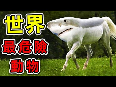 全世界最危險的12種雜交動物！人獸雜交竟然真實存在，第一名連科學家都害怕。|#世界之最top #世界之最 #出類拔萃 #腦洞大開 #top10 #最危險動物